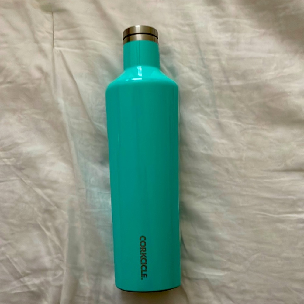 Aqua Corkcicle Canteen